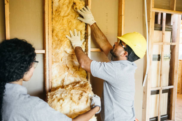 Best Wall Insulation Contractor  in Madill, OK
